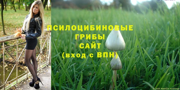 дмт Абинск
