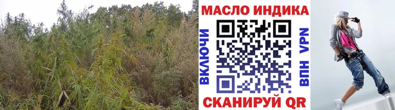 мега ссылка  Торжок  ТГК гашишное масло 