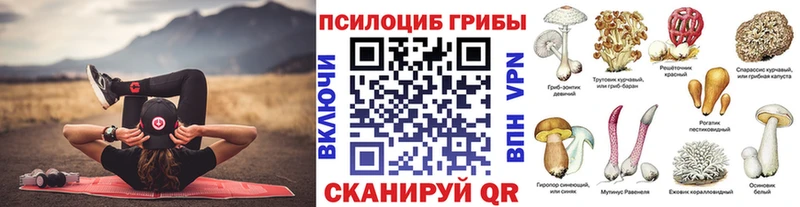 Галлюциногенные грибы GOLDEN TEACHER Торжок